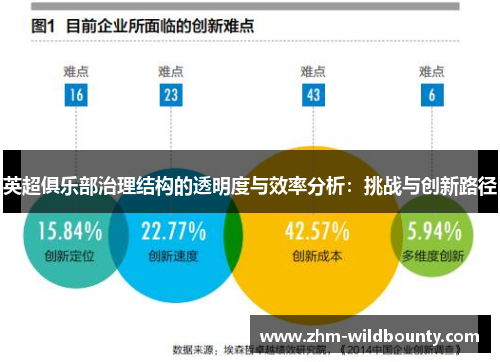 英超俱乐部治理结构的透明度与效率分析：挑战与创新路径