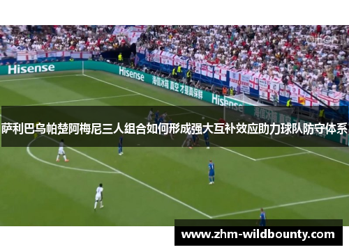 萨利巴乌帕楚阿梅尼三人组合如何形成强大互补效应助力球队防守体系