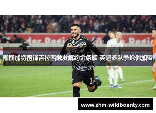 斯图加特前锋吉拉西触发解约金条款 英超多队争抢他加盟