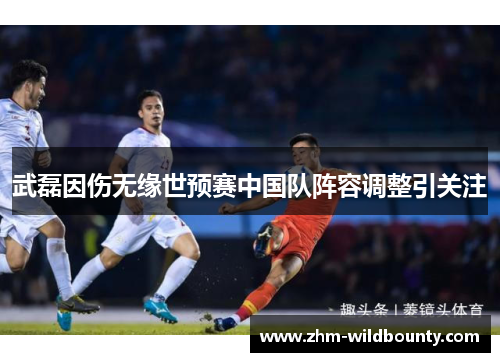 武磊因伤无缘世预赛中国队阵容调整引关注