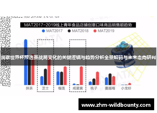 洞察世界杯预选赛战局变化的关键逻辑与趋势分析全景解码与未来走向研判