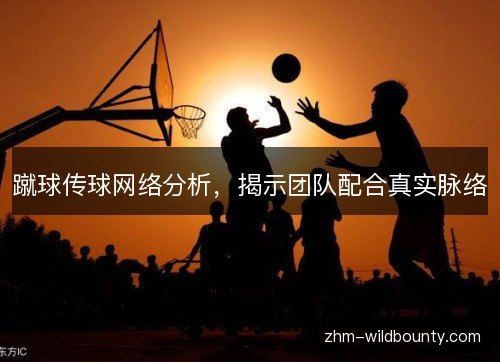 蹴球传球网络分析,揭示团队配合真实脉络 蹴球传球网络分析,揭示团队配合真实脉络